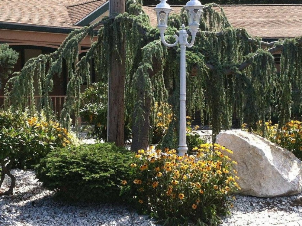 Cheshire Welcome Inn Image 10